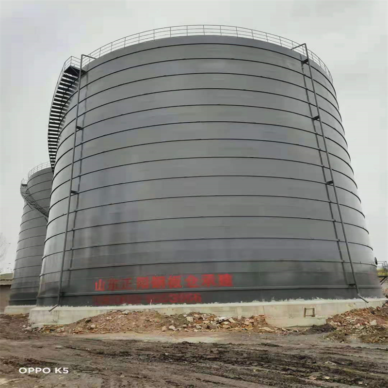 定西3万吨大型钢板库