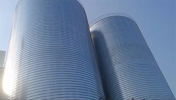 定西2座混凝土高架卷板仓